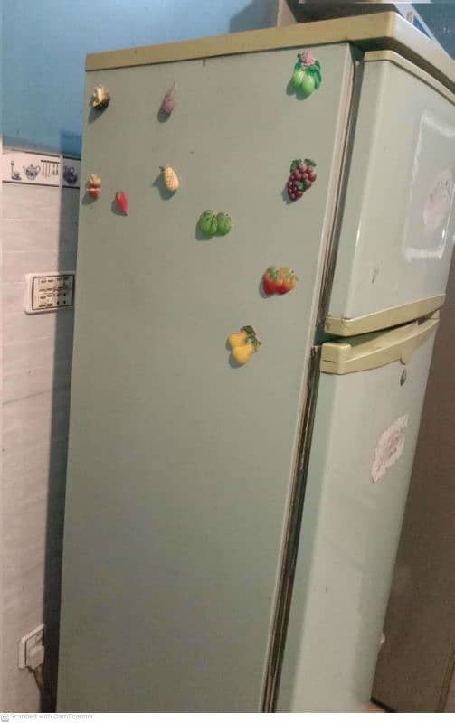 Phillips Fridge 1