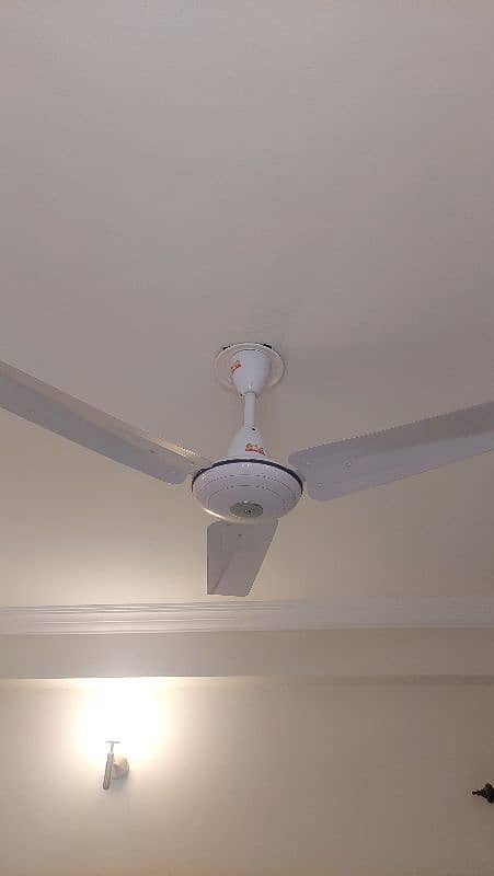 GFC fan 56 inch 1