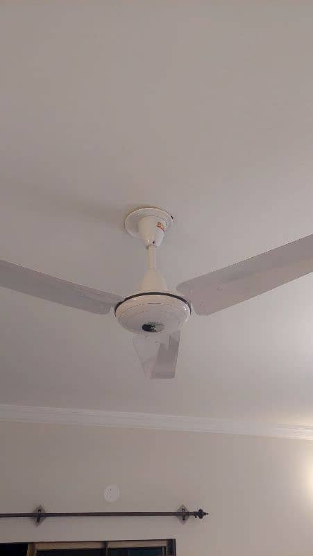 GFC fan 56 inch 2