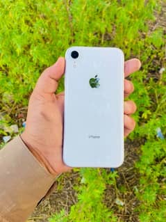 iPhone XR