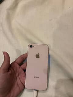 iphone 8 pta approved