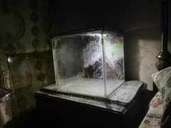 aquarium for sale