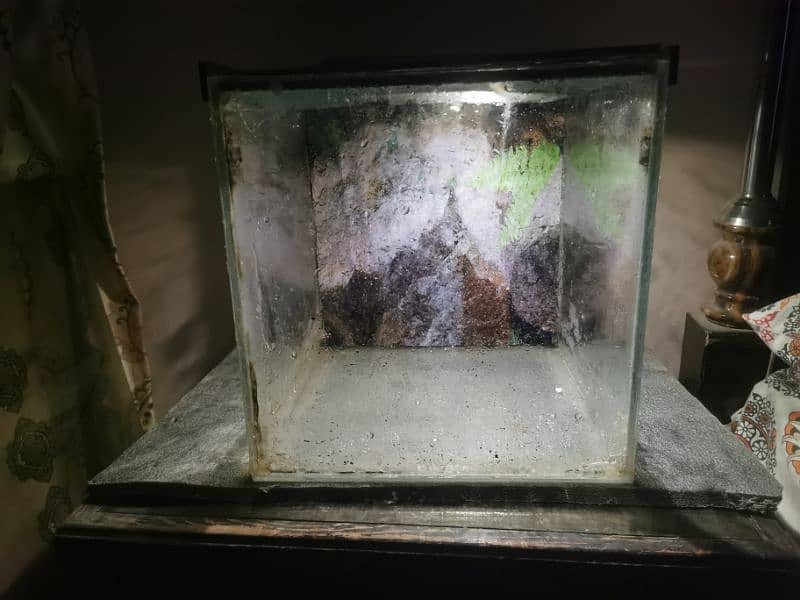 aquarium for sale 1