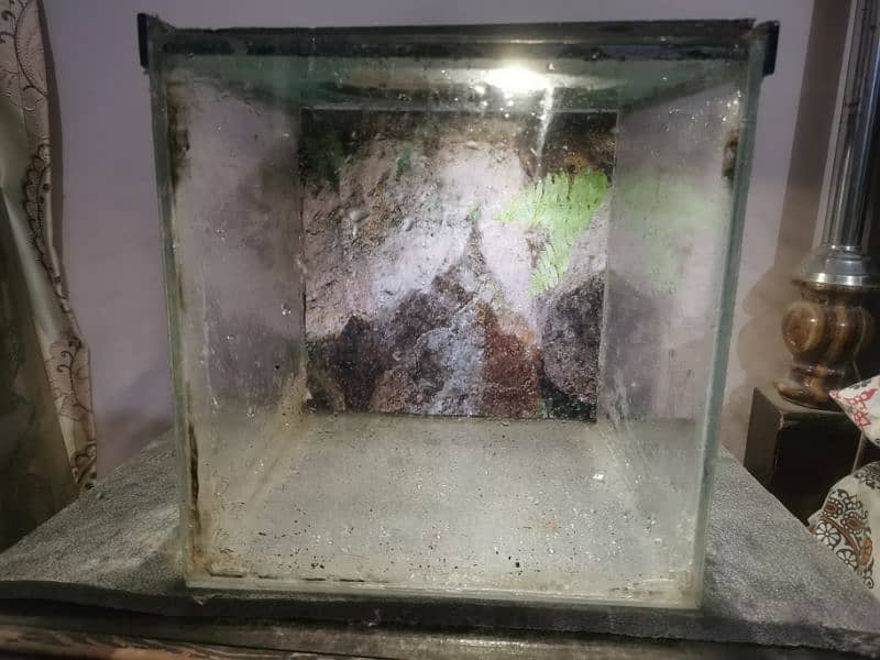 aquarium for sale 2