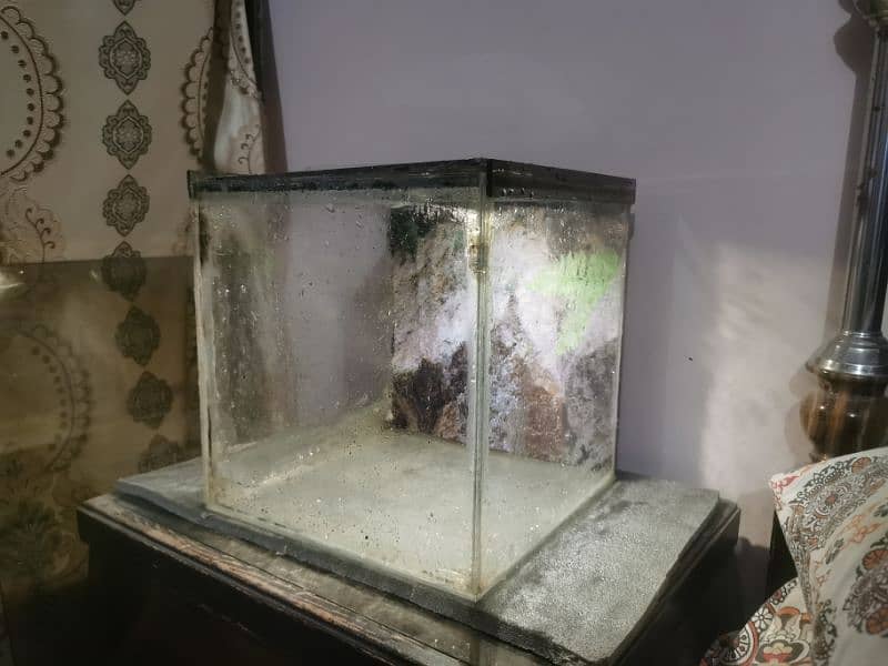 aquarium for sale 3