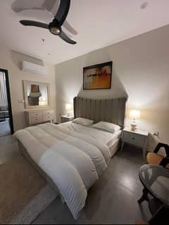 1 BHK furnished Luxurious apartment daily basis