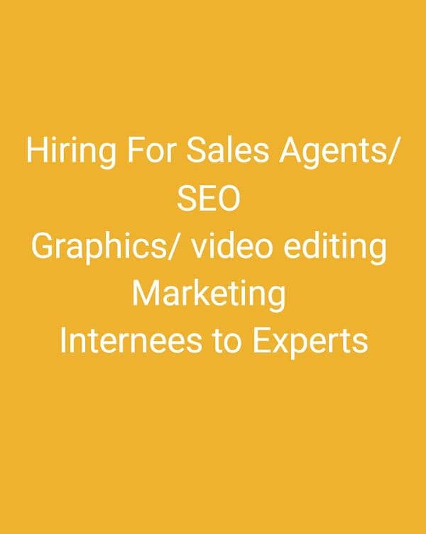 Sales/ Marketing/Video Editing/SEO/ WordPress/ Graphics/interne-Expert 1