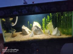 Aquarium 3ft condition 9.5/10 Urgent sale