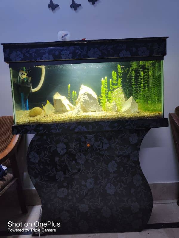 Aquarium 3ft condition 9.5/10 Urgent sale 1