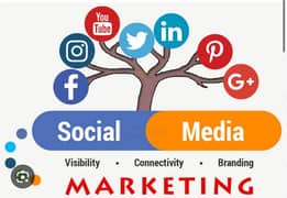 social marketing job handle all social platforms