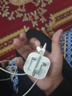 iPhone charger