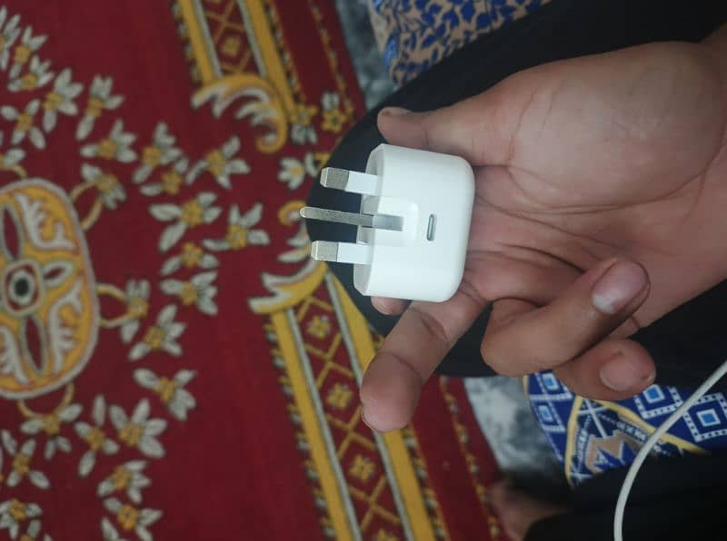 iPhone charger 2