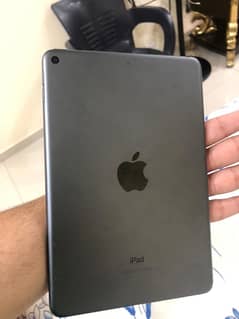 Ipad Mini 5 64 gb Only Kit