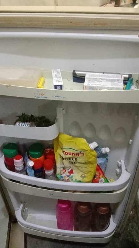 fridge 1