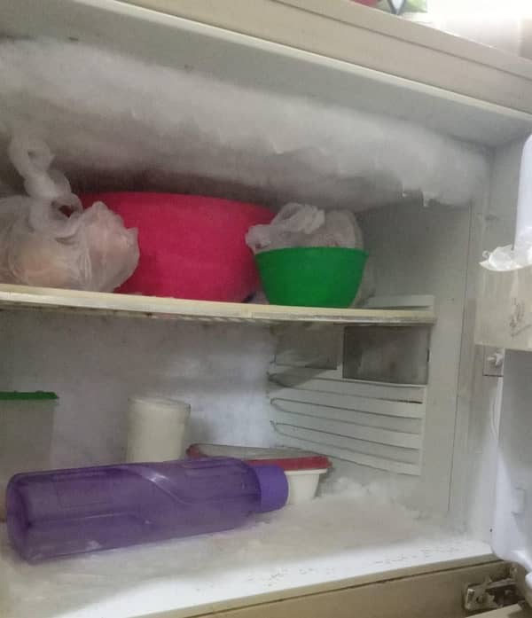 fridge 3