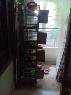 Folding cages size 2x1.5