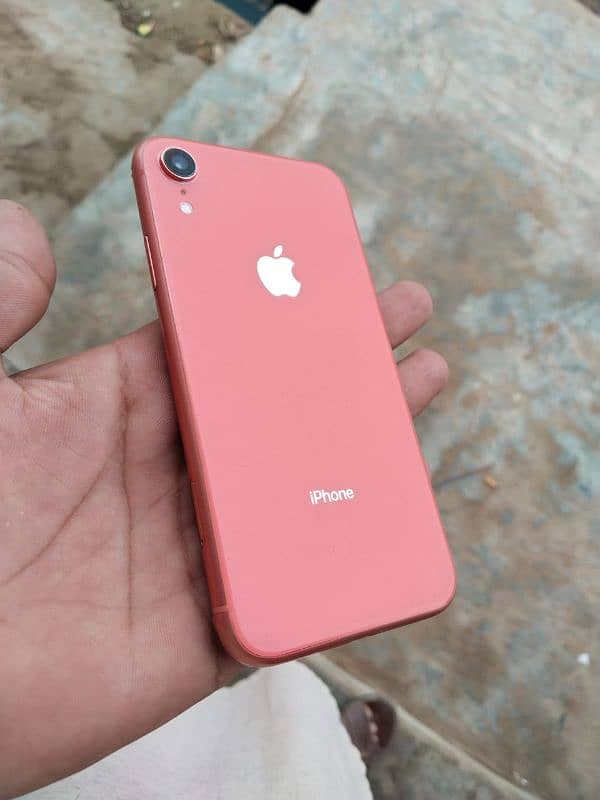 IPhone XR | Exchange possible | 03207011840 2