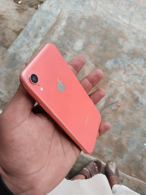 IPhone XR | Exchange possible | 03207011840 4