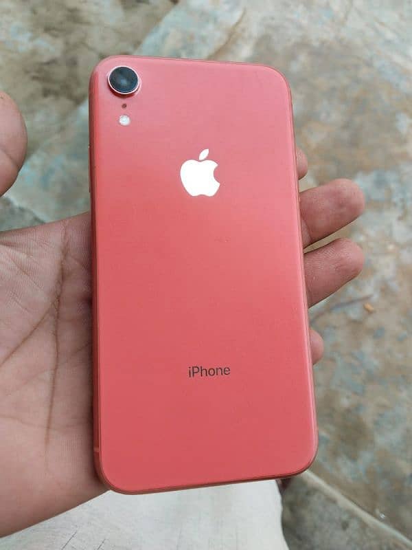 IPhone XR | Exchange possible | 03207011840 5