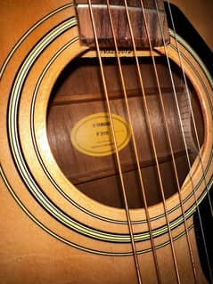 Yamaha F310 acoustic guitar