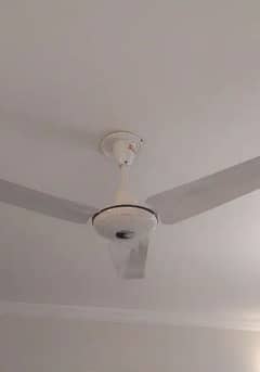 3 ceiling fans