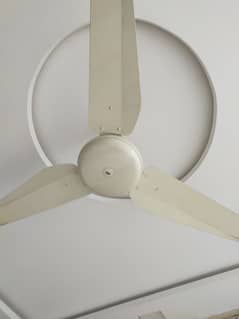 brand new sk fan for sale