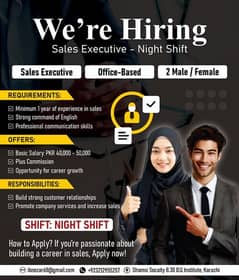 Sales Executive