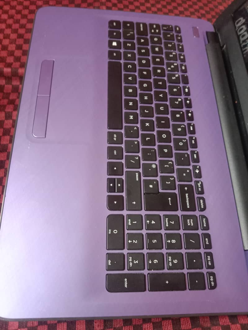 hp laptop 3