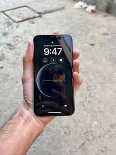 iphone xs 256gb non pta