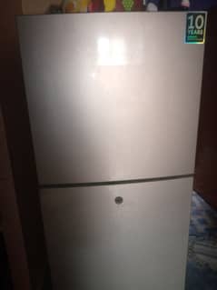 Hair Refrigerators Medium Size