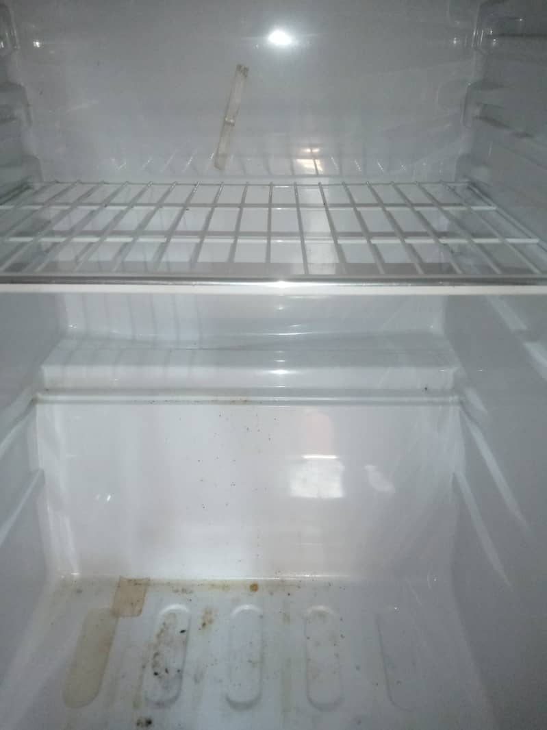 Hair Refrigerators Medium Size 3