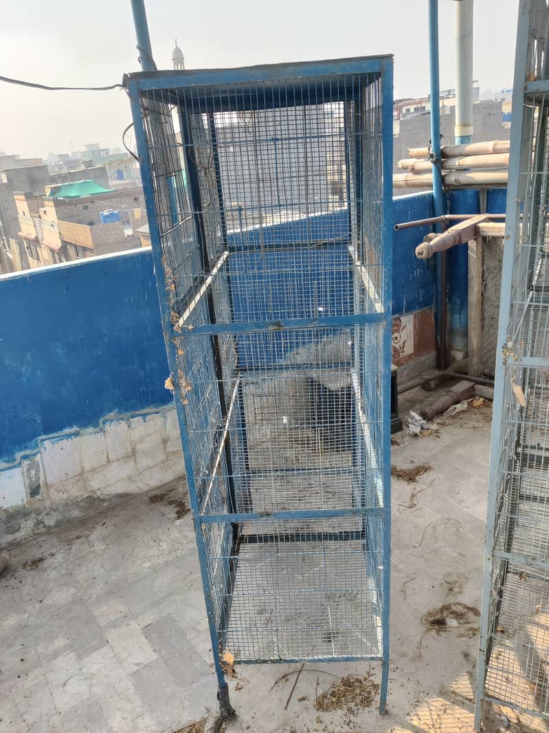 parrots cage 3