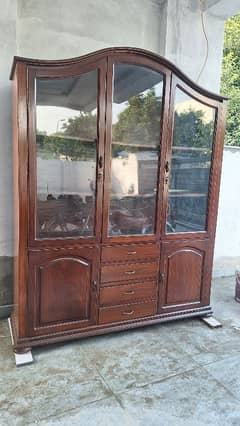 Solid Wood Showcase