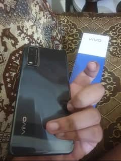 vivo