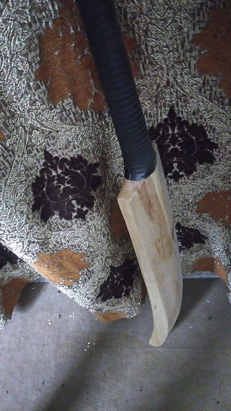 original coconut wood bat 1