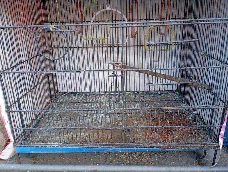 cage for sale 2