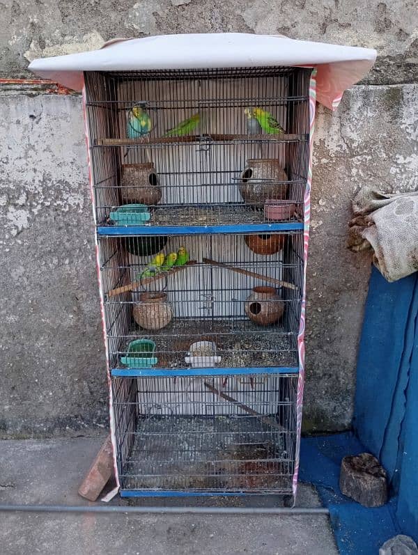 cage for sale 3