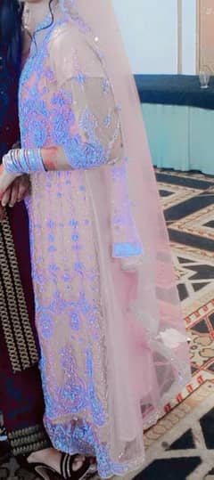 walima maxi