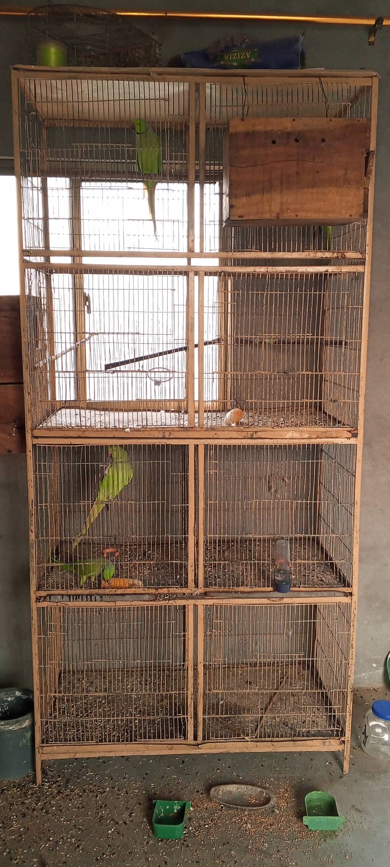 SETUP FOR SALE - Ringneck 2 Pairs with cage 8 Portion + 2 Breeding Box 13