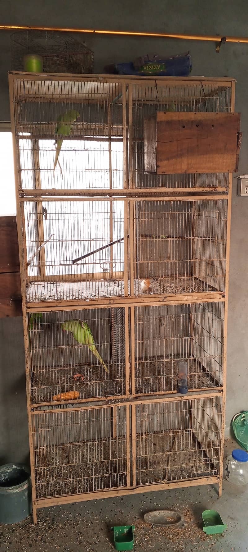 SETUP FOR SALE - Ringneck 2 Pairs with cage 8 Portion + 2 Breeding Box 14