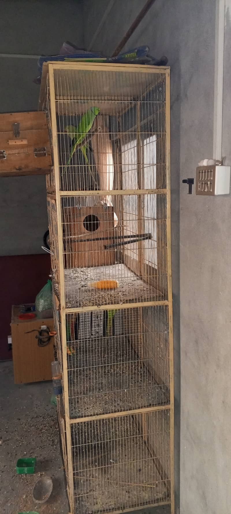 SETUP FOR SALE - Ringneck 2 Pairs with cage 8 Portion + 2 Breeding Box 15