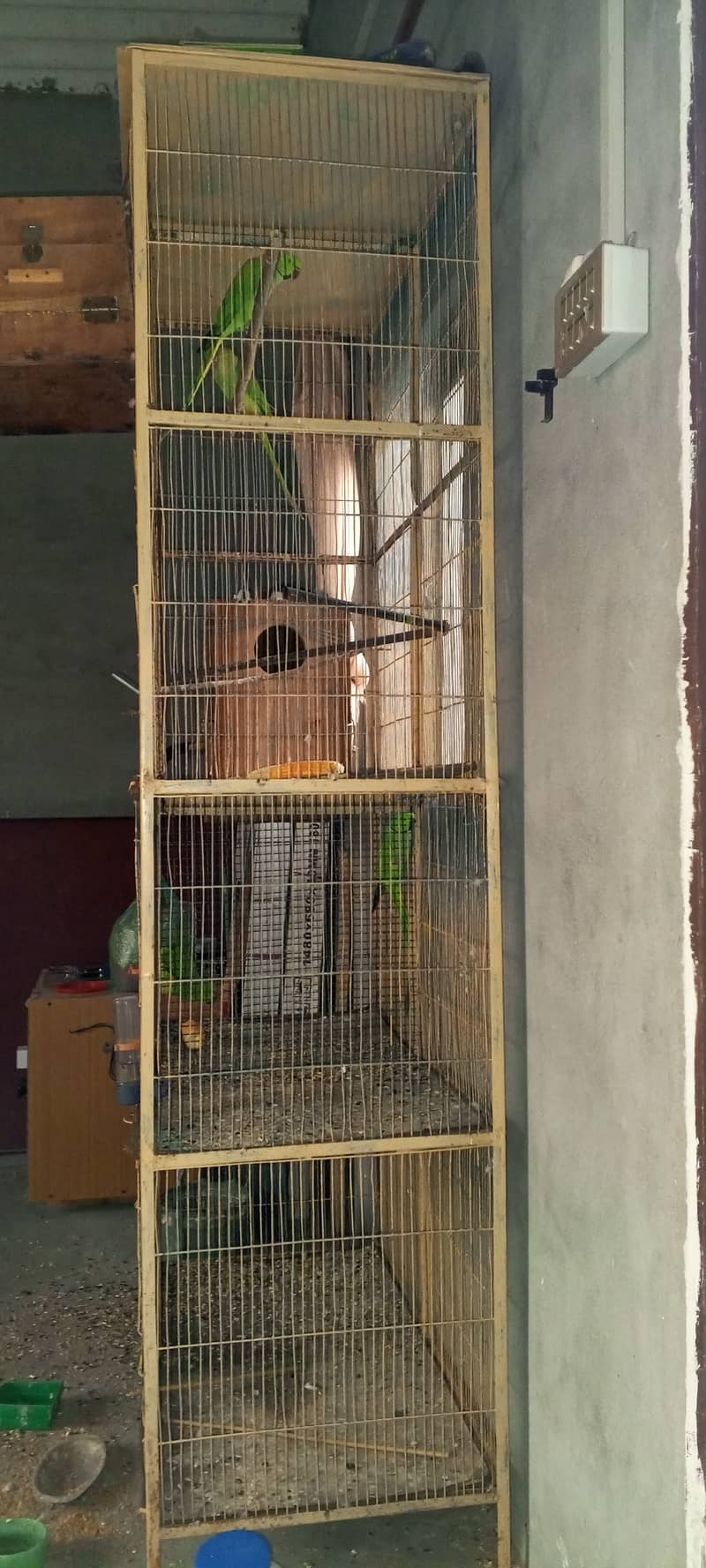 SETUP FOR SALE - Ringneck 2 Pairs with cage 8 Portion + 2 Breeding Box 16