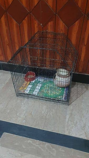 hen cage 1