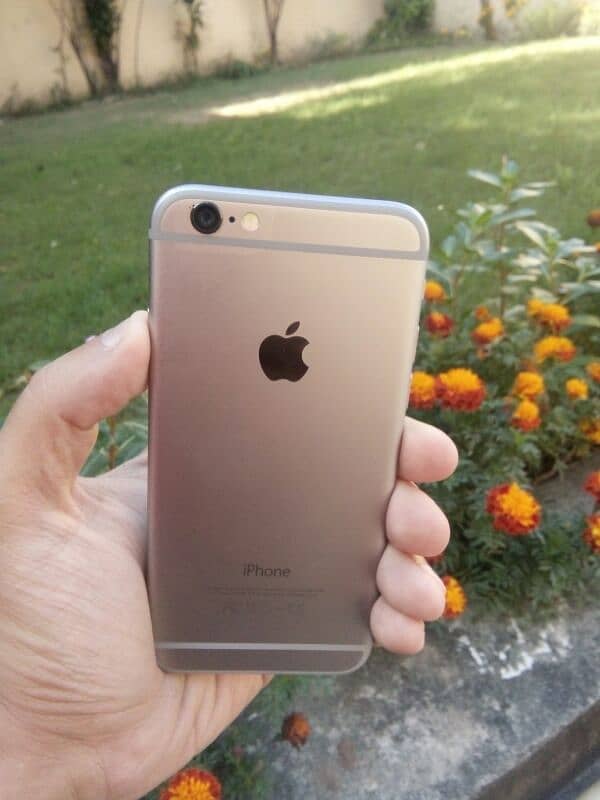 Iphone 6 10/10 Condition Contact number 03365196700 9