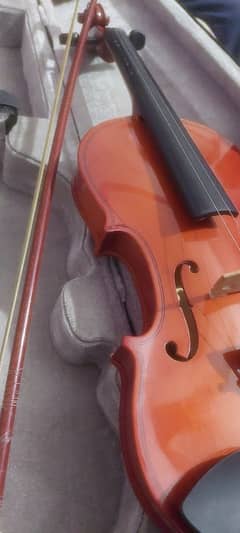 violin pure wooden in a standard size