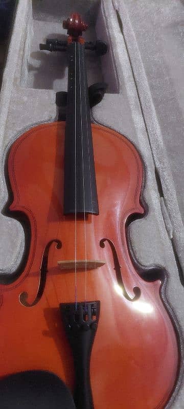 violin pure wooden in a standard size 1