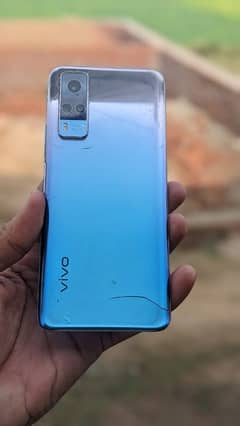 vivo