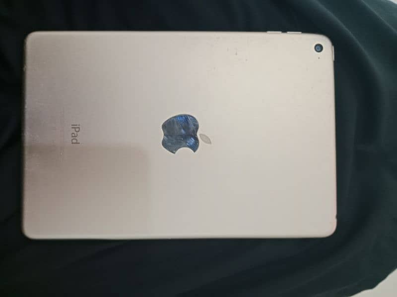 Ipad mini 4 2