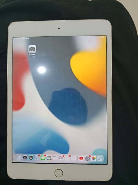 Ipad mini 4 3