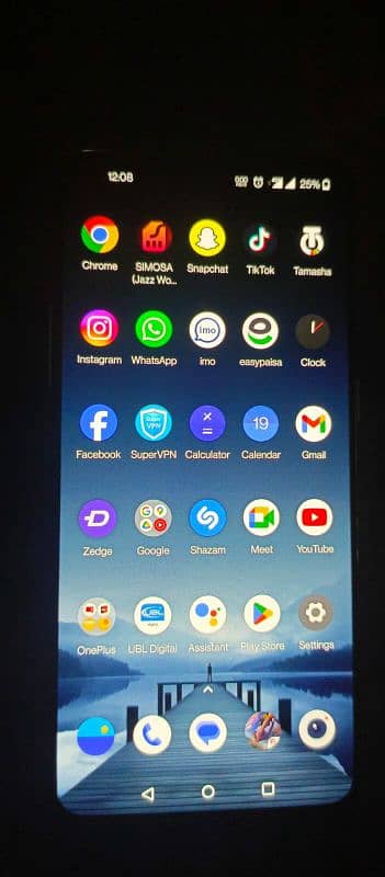 OnePlus 8T Global version 1